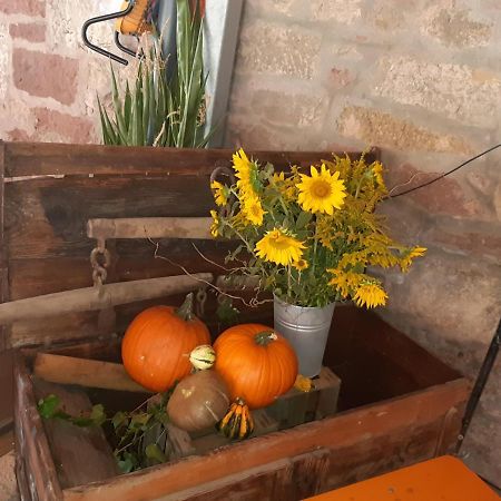 Gaestehaus Engelhard Pension Karbach  Екстериор снимка